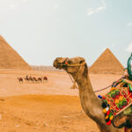 Camel Ride Trip at Giza Pyramids