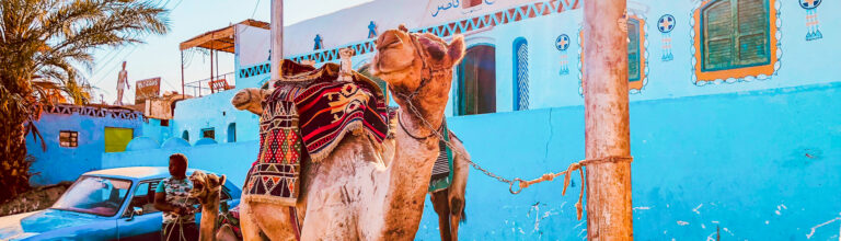 Trip to the Nubian Villages by boat
